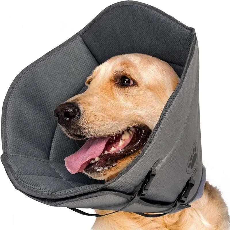 Soft adjustable pet sterilisation collar in sizes L, M, XL shown on a dog.