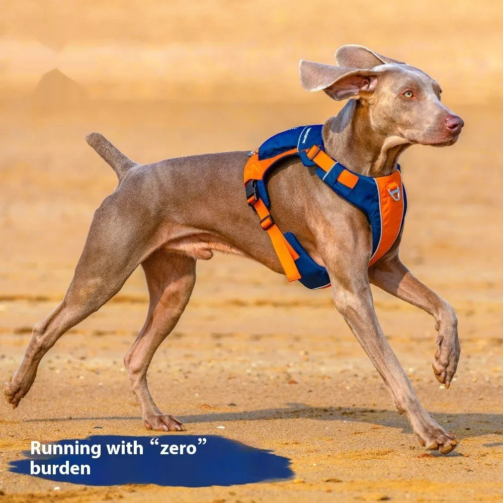 Nylon dog chest strap vest harness with hand rope in orange blue colour