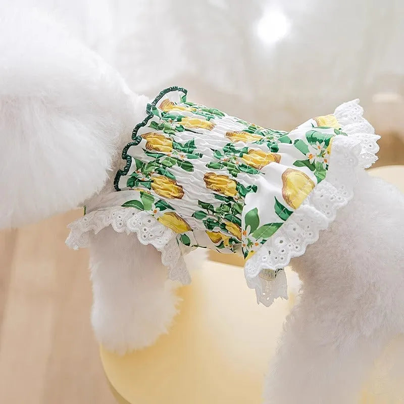 Rock yellow lemon polyester strap skirt dog dress for small to medium sized pets
