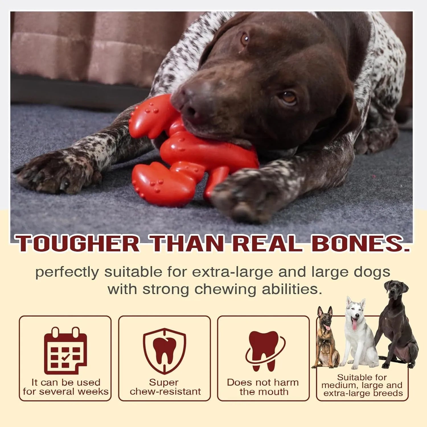 Red bone-shaped nylon chew toy for large aggressive chewing dogs on white background