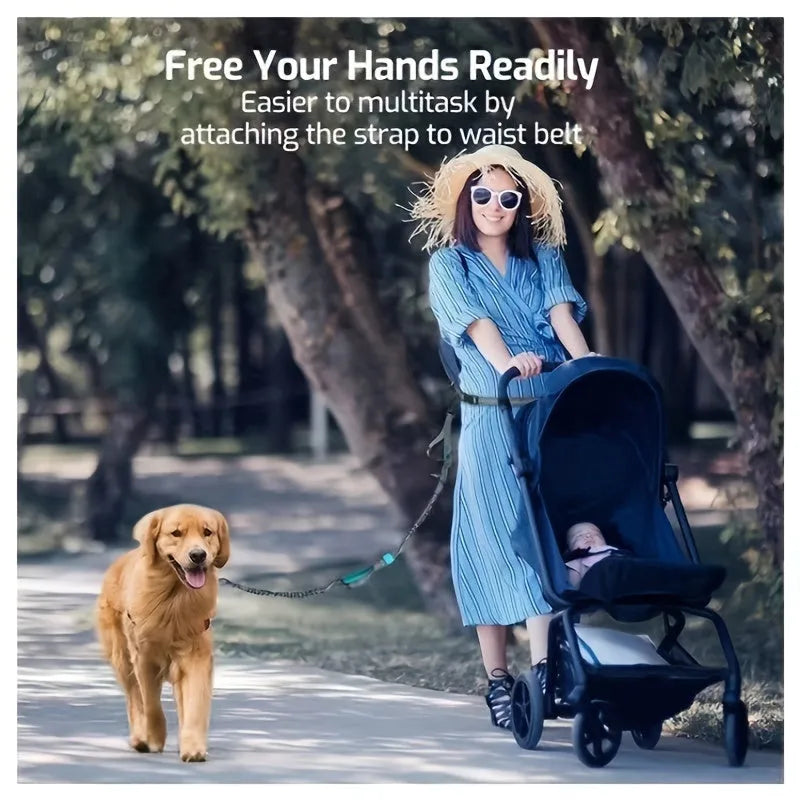 Hands-free dog leash with adjustable waist belt in durable nylon, available in five colours for running and walking