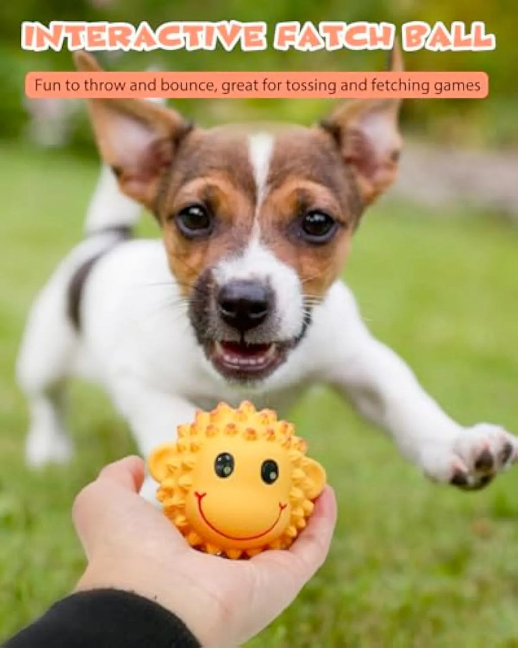 Four orange and yellow spiky latex dog toys with animal shapes and squeakers for small medium breeds