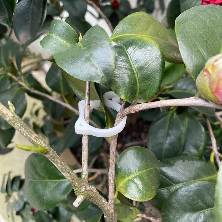 Plastic cat-shaped plant clip in red, yellow, green, or white colours for garden use