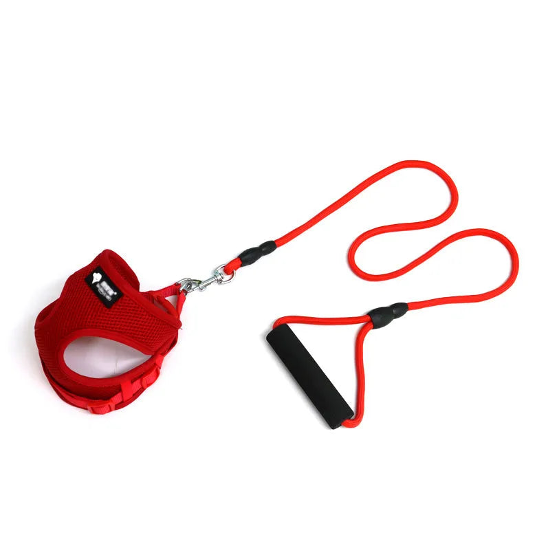 Blue dog leash and collar set with foam handle for small dogs 4-10kg