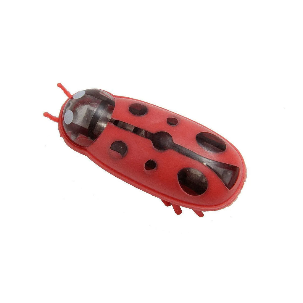 Electric toothbrush worm jumping insect cat teaser toy in plastic construction with ladybug and iron cow colour patterns