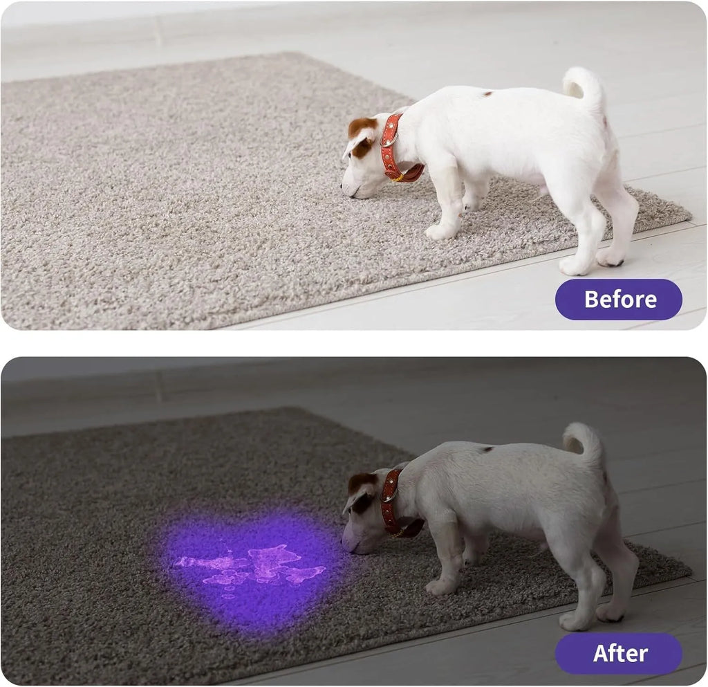 Compact black or silver aluminium alloy UV flashlight for detecting stains and pests.
