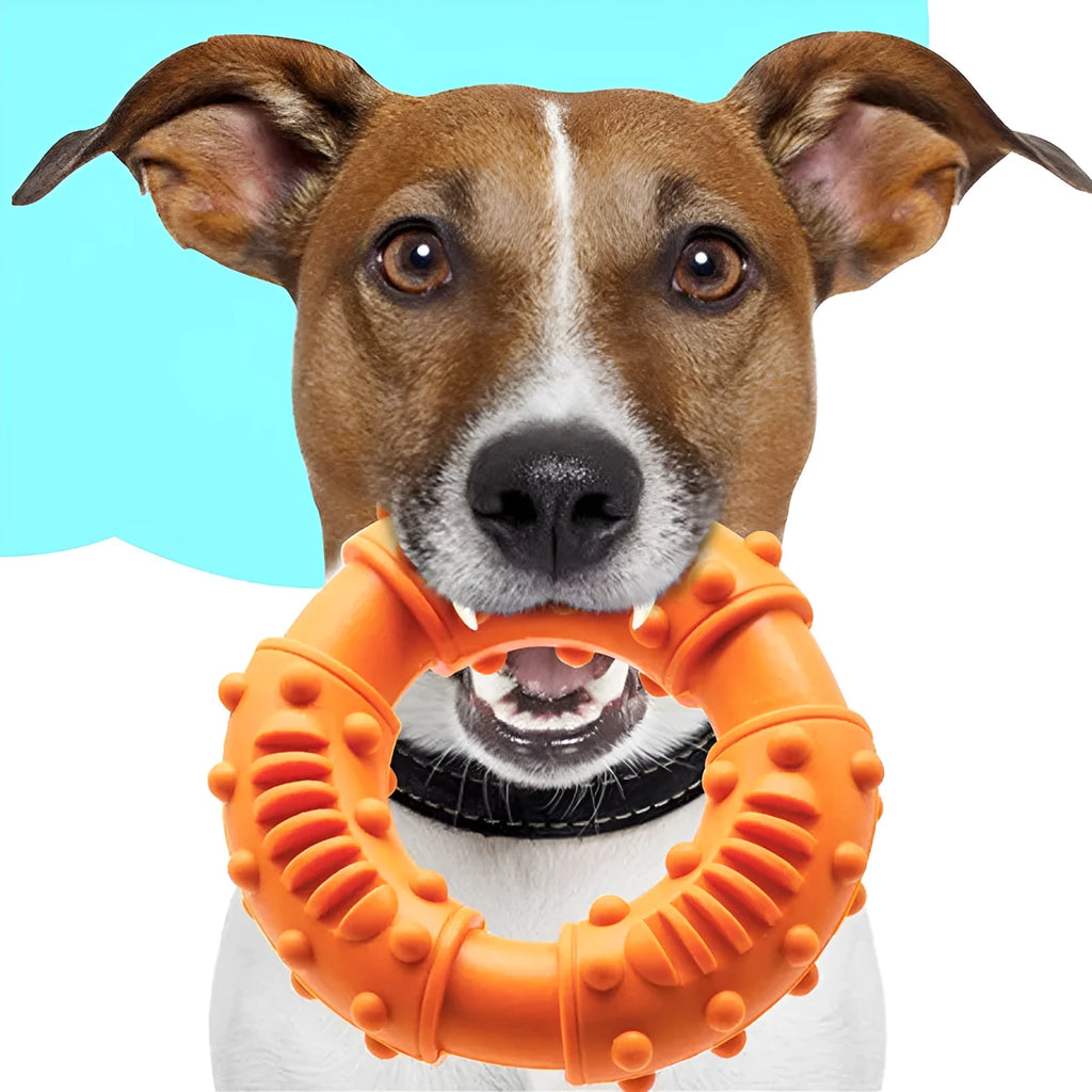 Blue dog fetching stick toy with hollow design for chew-resistant fetch games