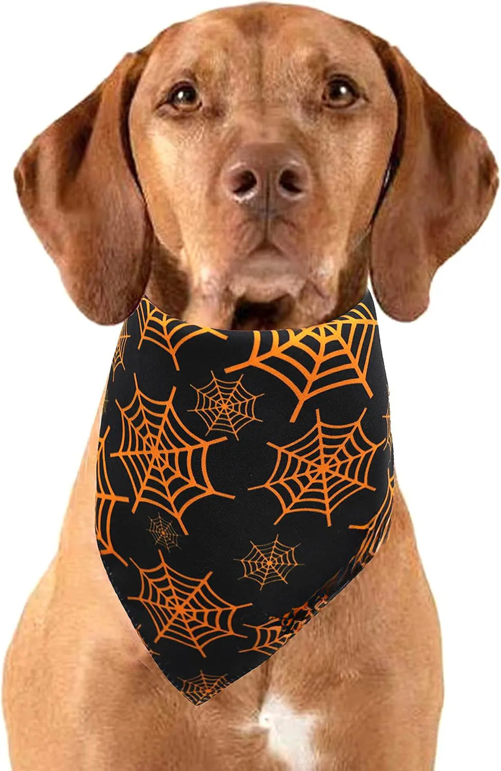 Reversible Halloween dog bandana with pumpkin and spider web designs in black and orange colours