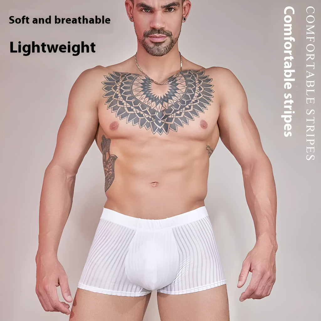 Men's striped underwear in black, white, and dark grey colours showing thin transparent nylon fabric