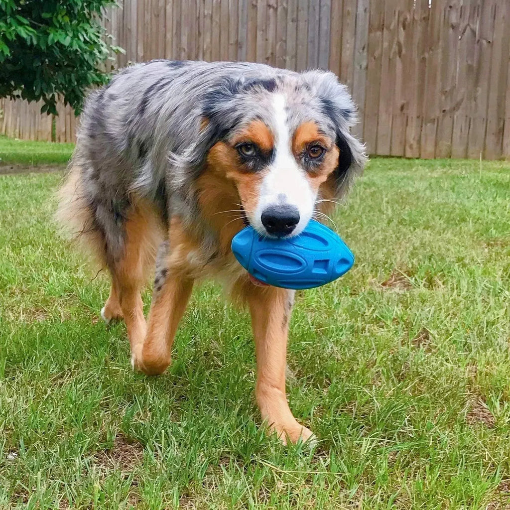 Natural rubber squeaky dog chew ball for medium and large breed aggressive chewers in blue, green, and orange colours
