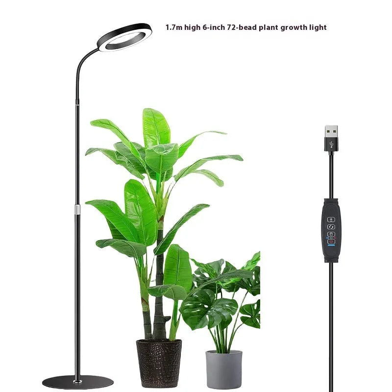 White 6-inch angel ring LED plant grow light on a tall, slender adjustable floor stand.