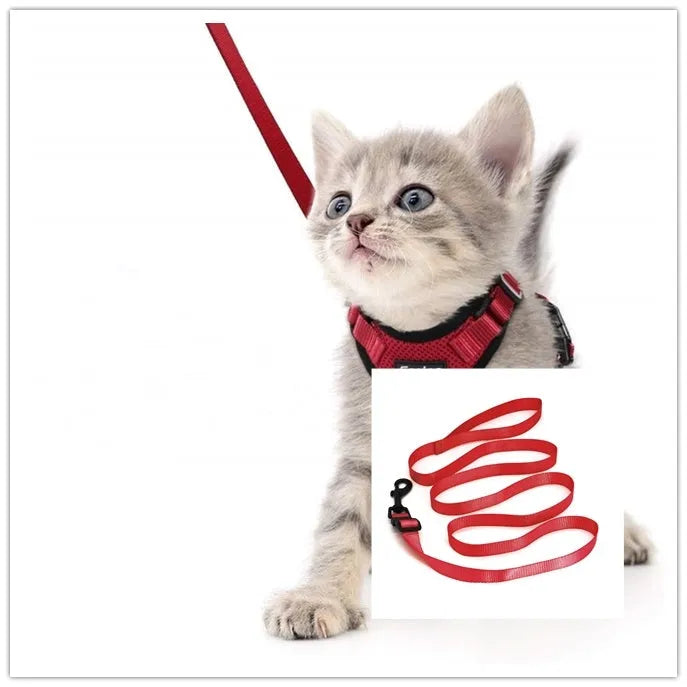 Escape proof reflective cat vest harness with car seat belt adapter for kittens