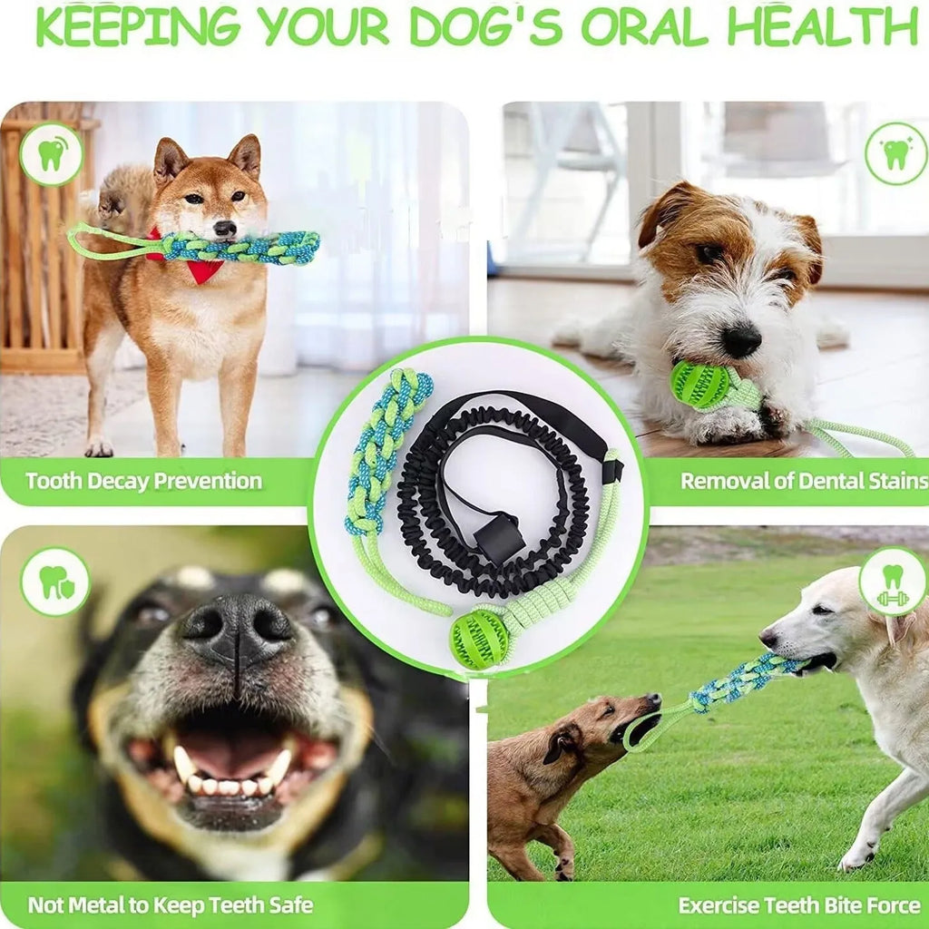 Green cotton rope tug toy for dogs with corncob design for bite-resistant tug of war games