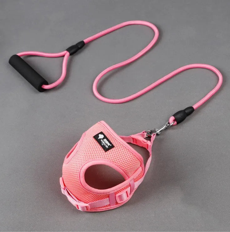 Blue dog leash and collar set with foam handle for small dogs 4-10kg