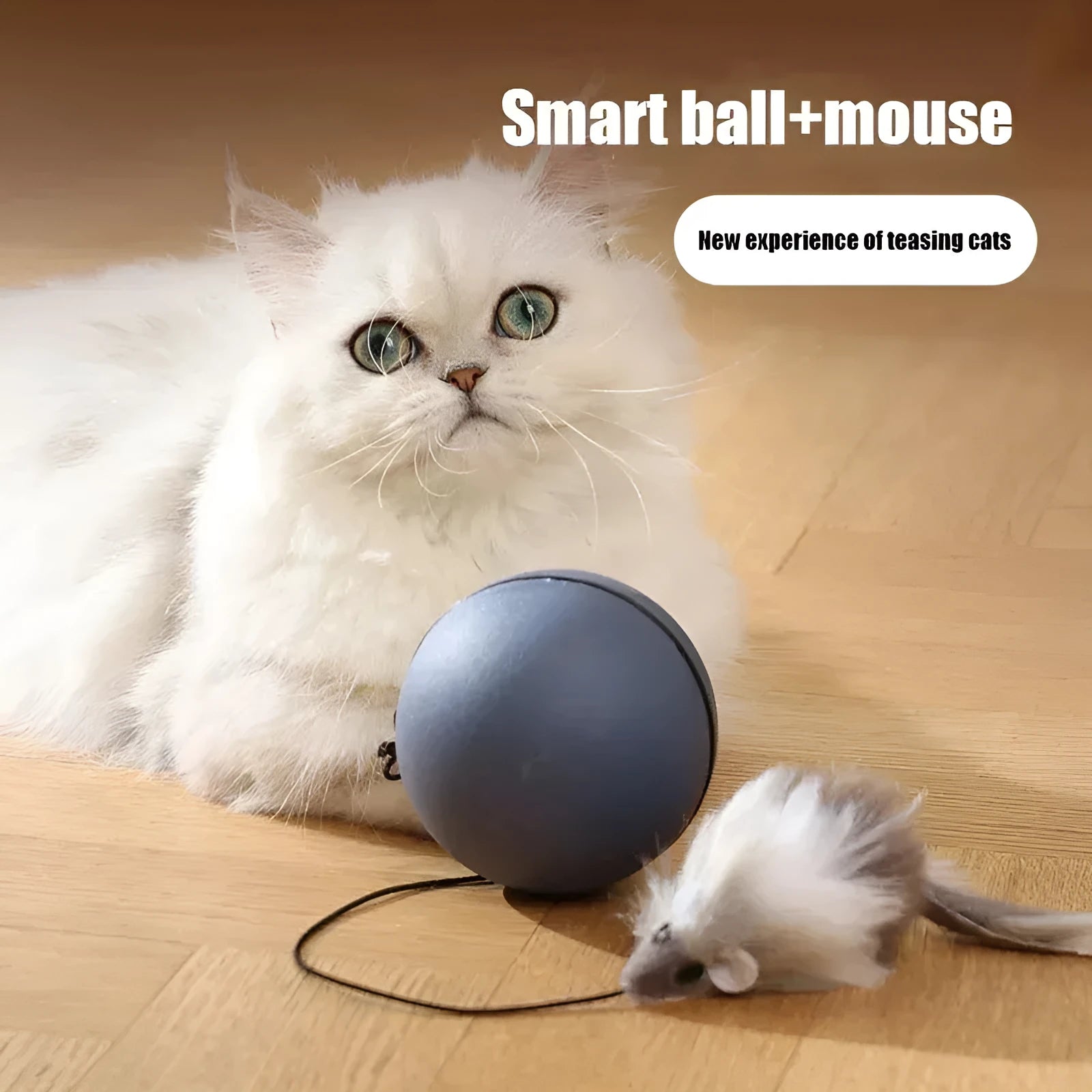 Automatic cat teasing ball with plush mouse attachment in blue orange and dark grey colour options