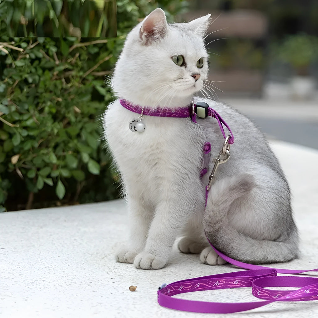 Pet cat bell chest strap and traction rope set in blue polyester jacquard mesh on a small dog