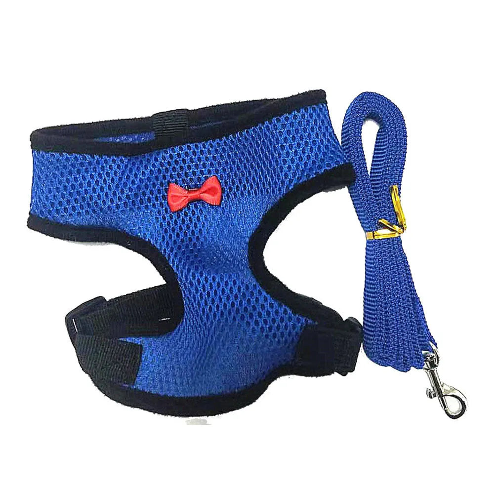 Colourful chicken vest harness and collar set for ducks and hens with a traction rope.