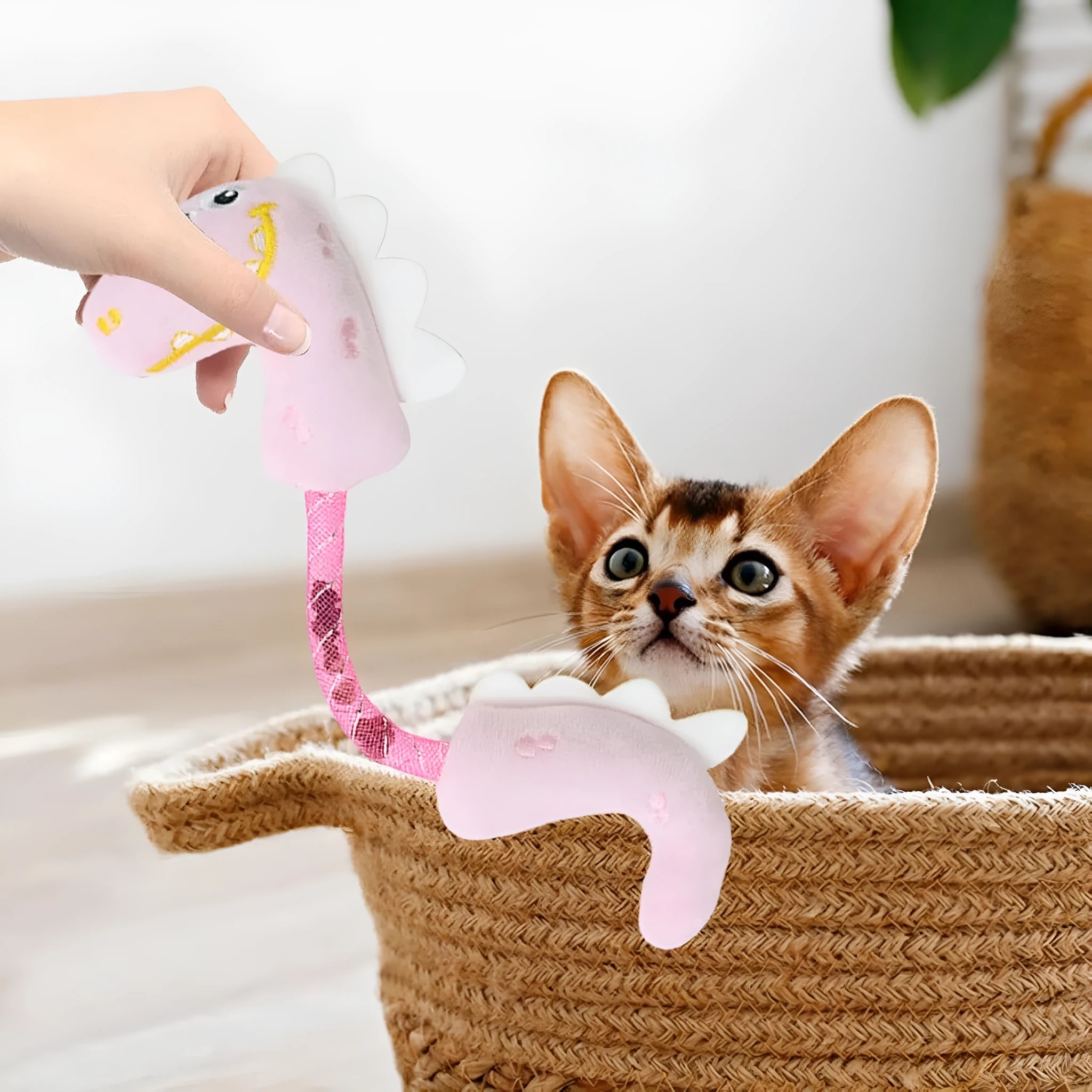Four cat toys including rope, spring, kicker and plush types for indoor feline entertainment