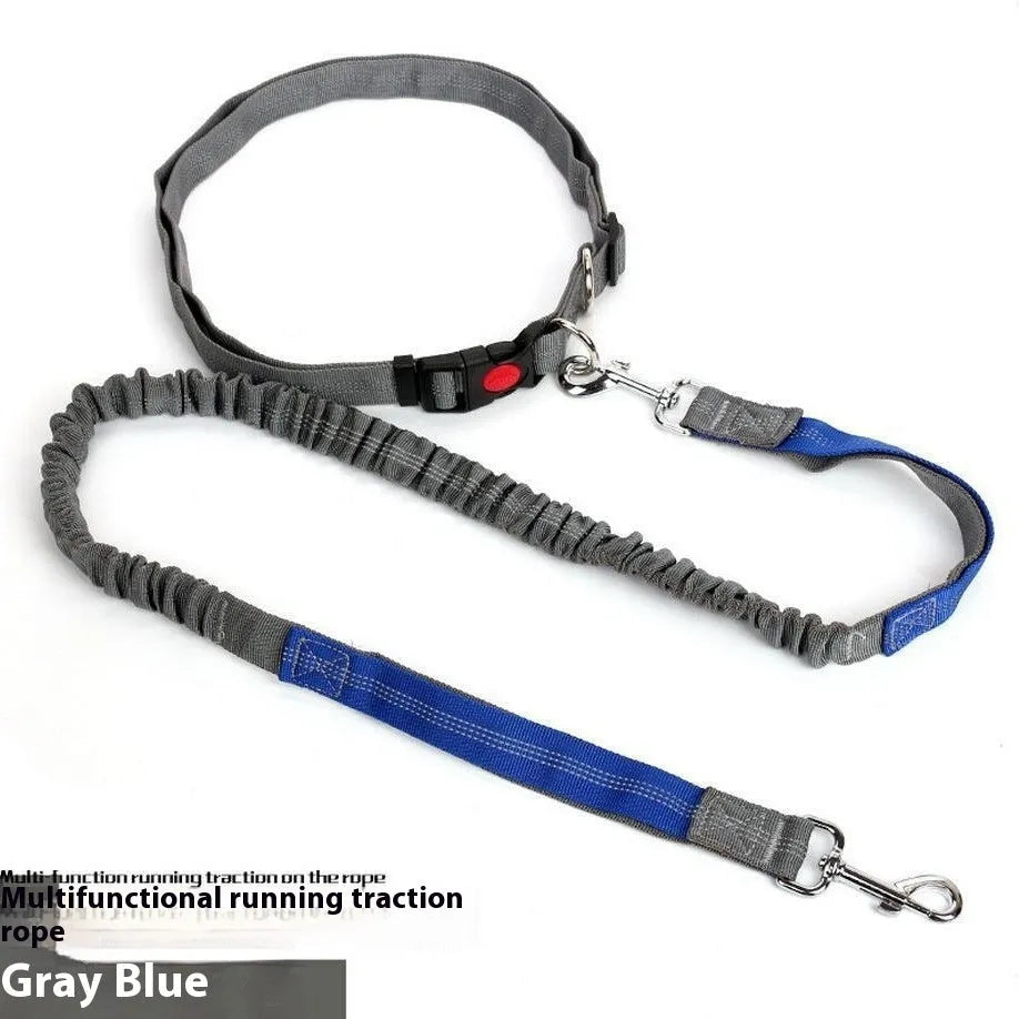Gray and green reflective elastic dog leash with nylon webbing and a clip, laid flat to show its 2.5cm width.