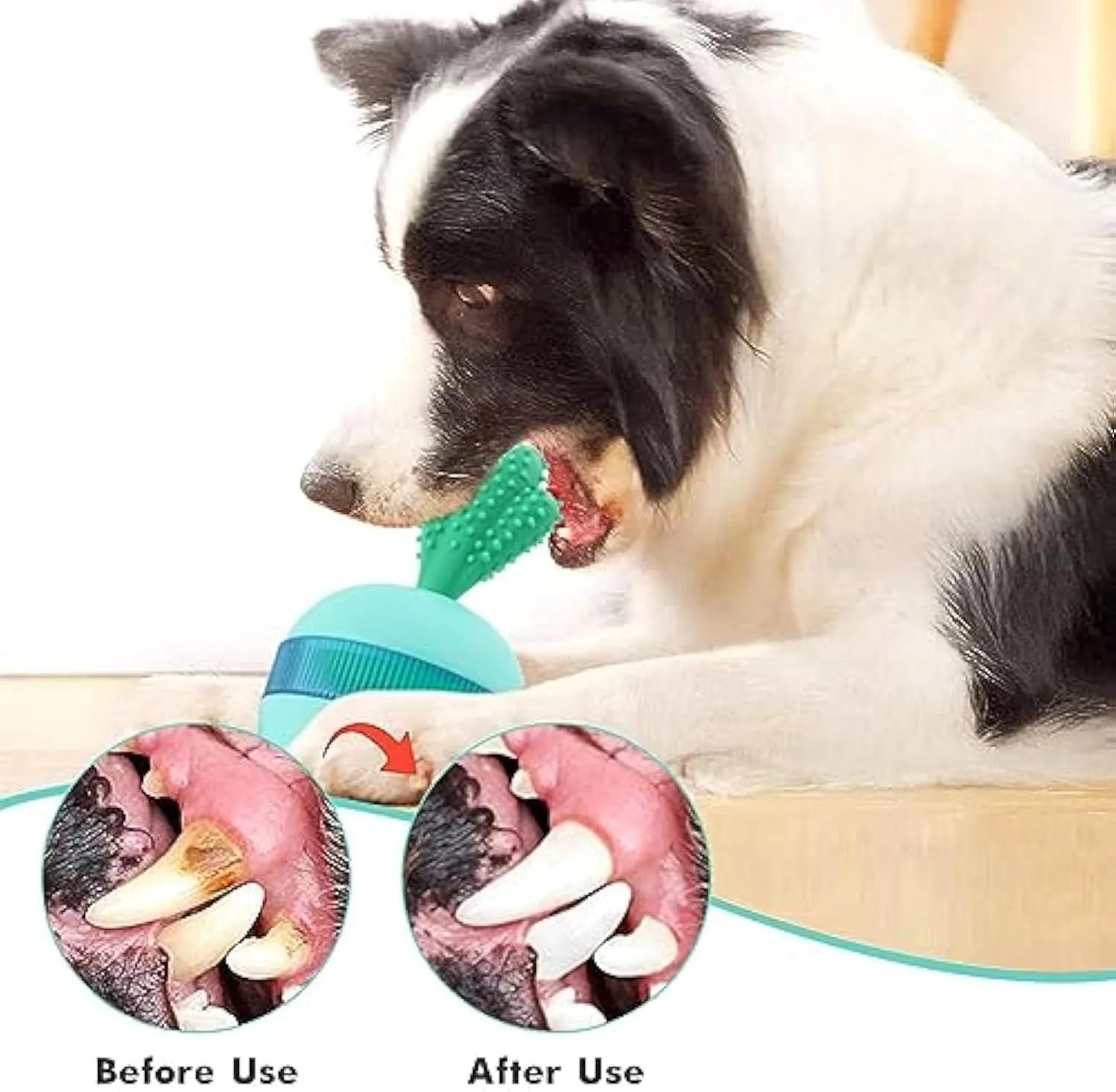 Blue and green durable rubber interactive dog treat dispenser ball with food holes for medium large dogs