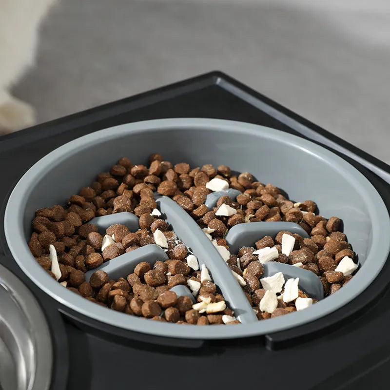 Adjustable elevated stainless steel anti-choke slow food dog bowl with double bowl set on floor