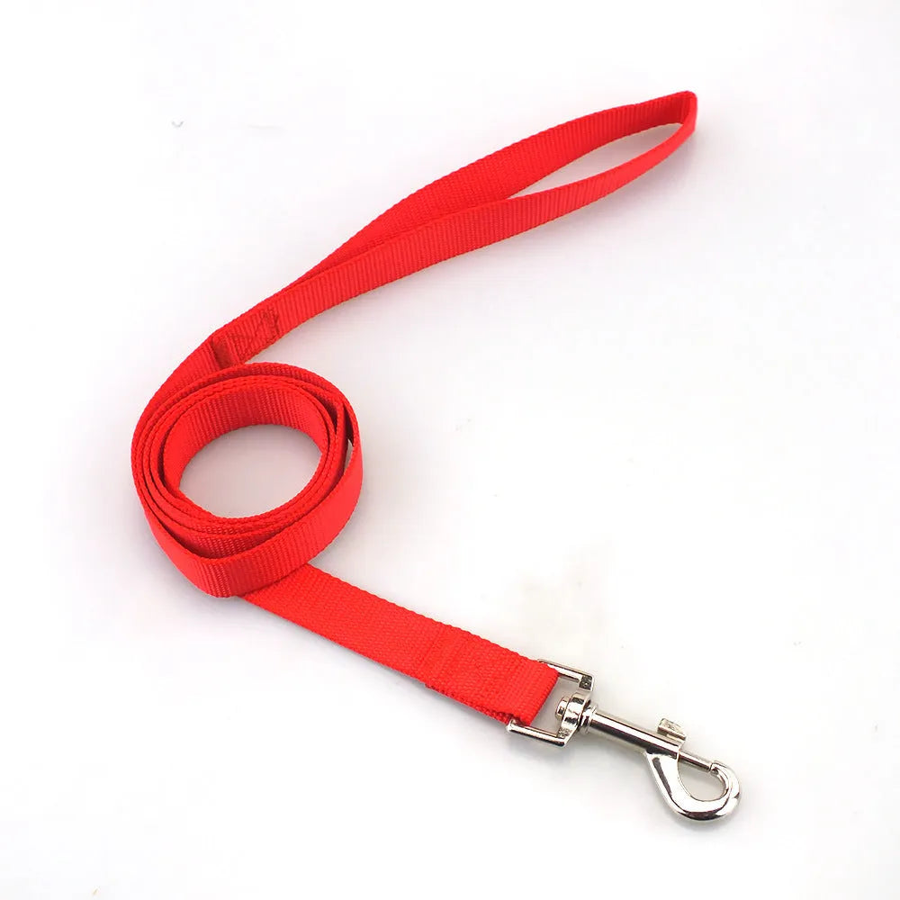 Solid colour nylon dog walking leash in blue held in a hand, showing the single rope design and hand loop.