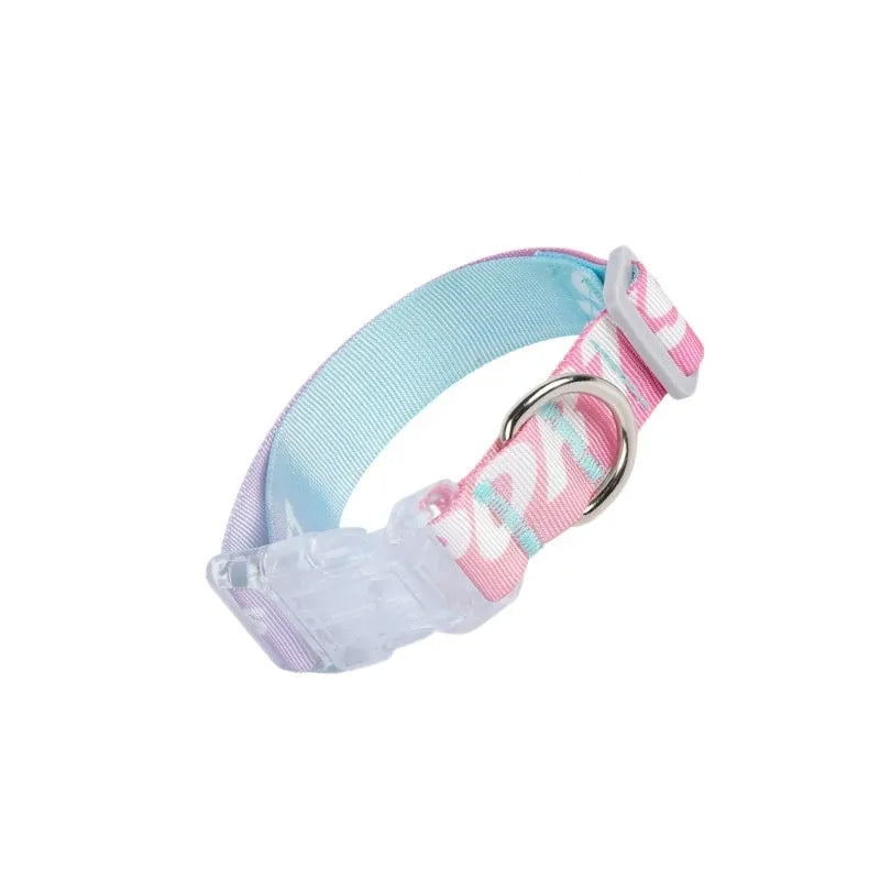 Nylon dog collar with cartoon gradient printing in adjustable S, M, L sizes for dogs 2-10kg