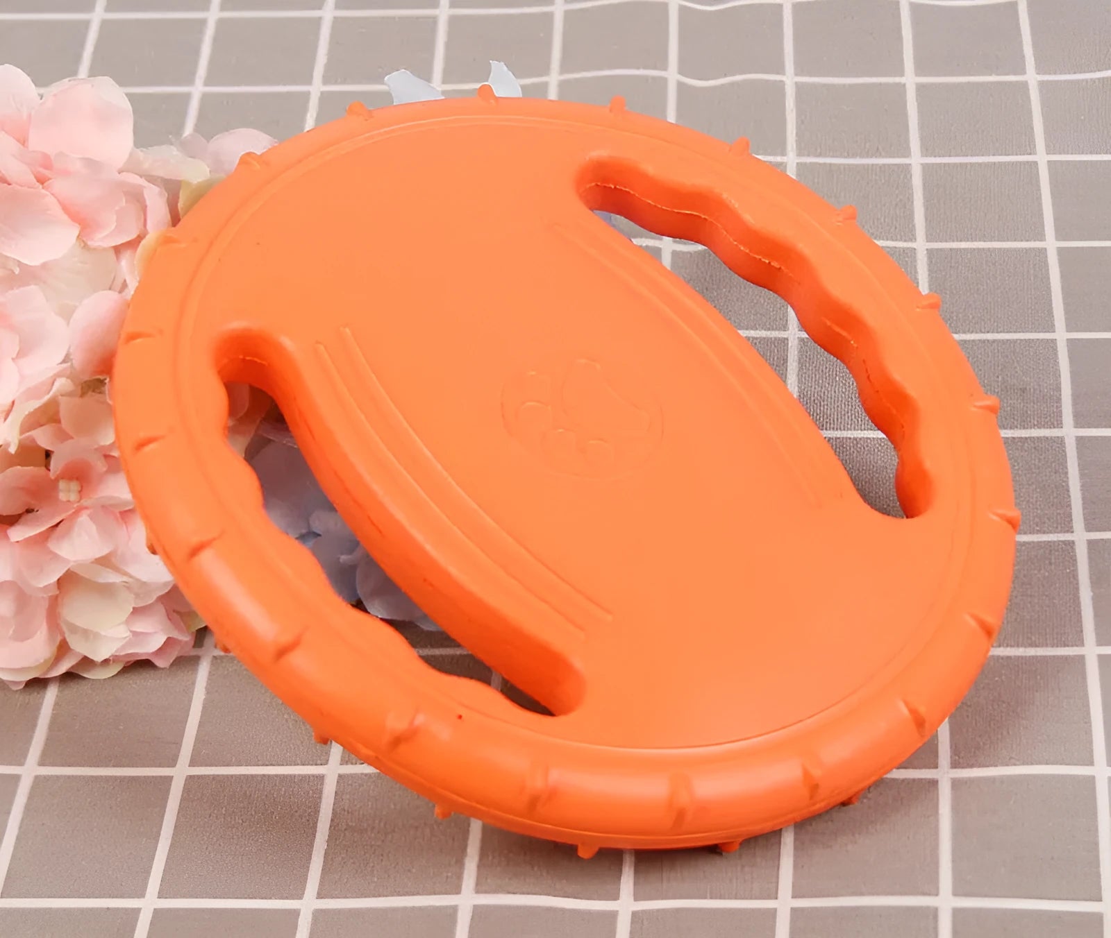 Dog training set with plastic frisbee and bite ring in orange and green colours on grass