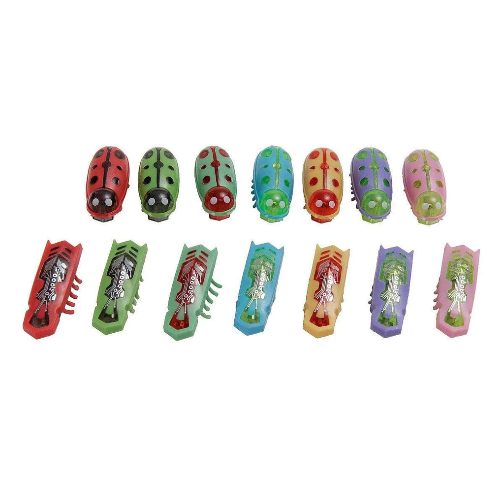 Electric toothbrush worm jumping insect cat teaser toy in plastic construction with ladybug and iron cow colour patterns