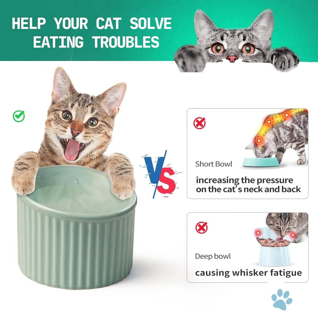 A dark green ceramic elevated cat bowl with a tilted, round design on a wooden surface.