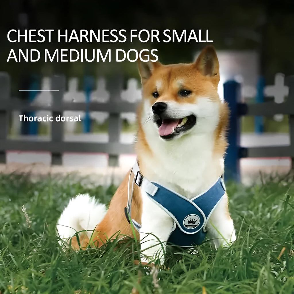 Adjustable dog and cat harness with breathable mesh panels and metal ring attachment