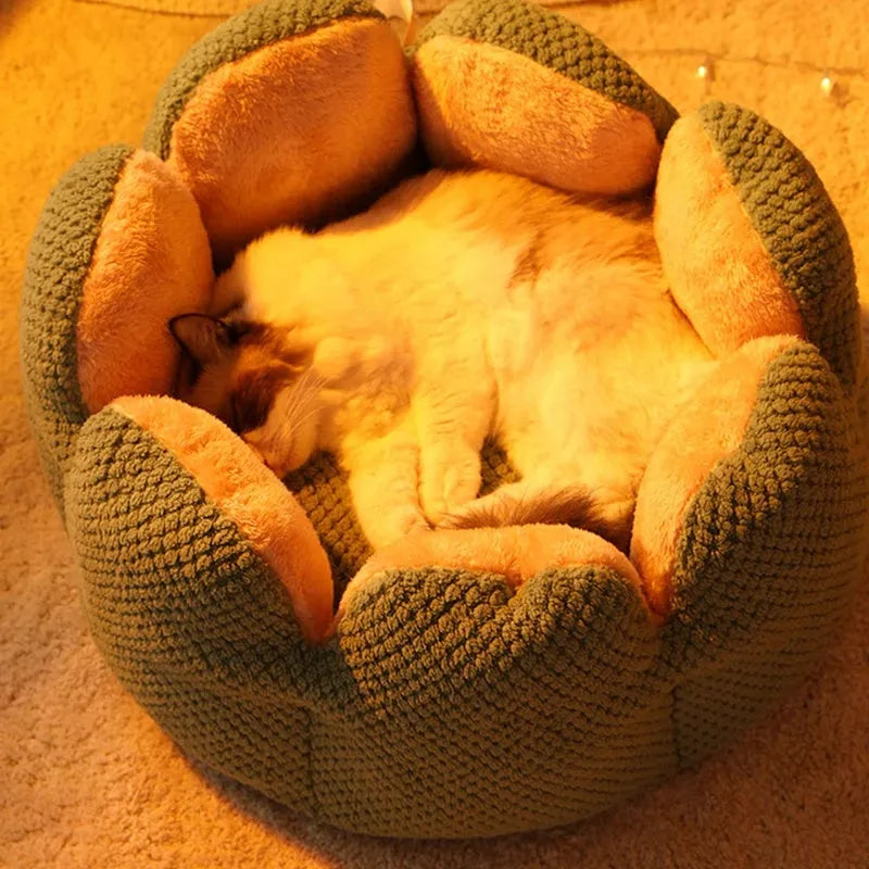 Green enclosed pet bed with cactus petal shaped opening and soft plush fabric
