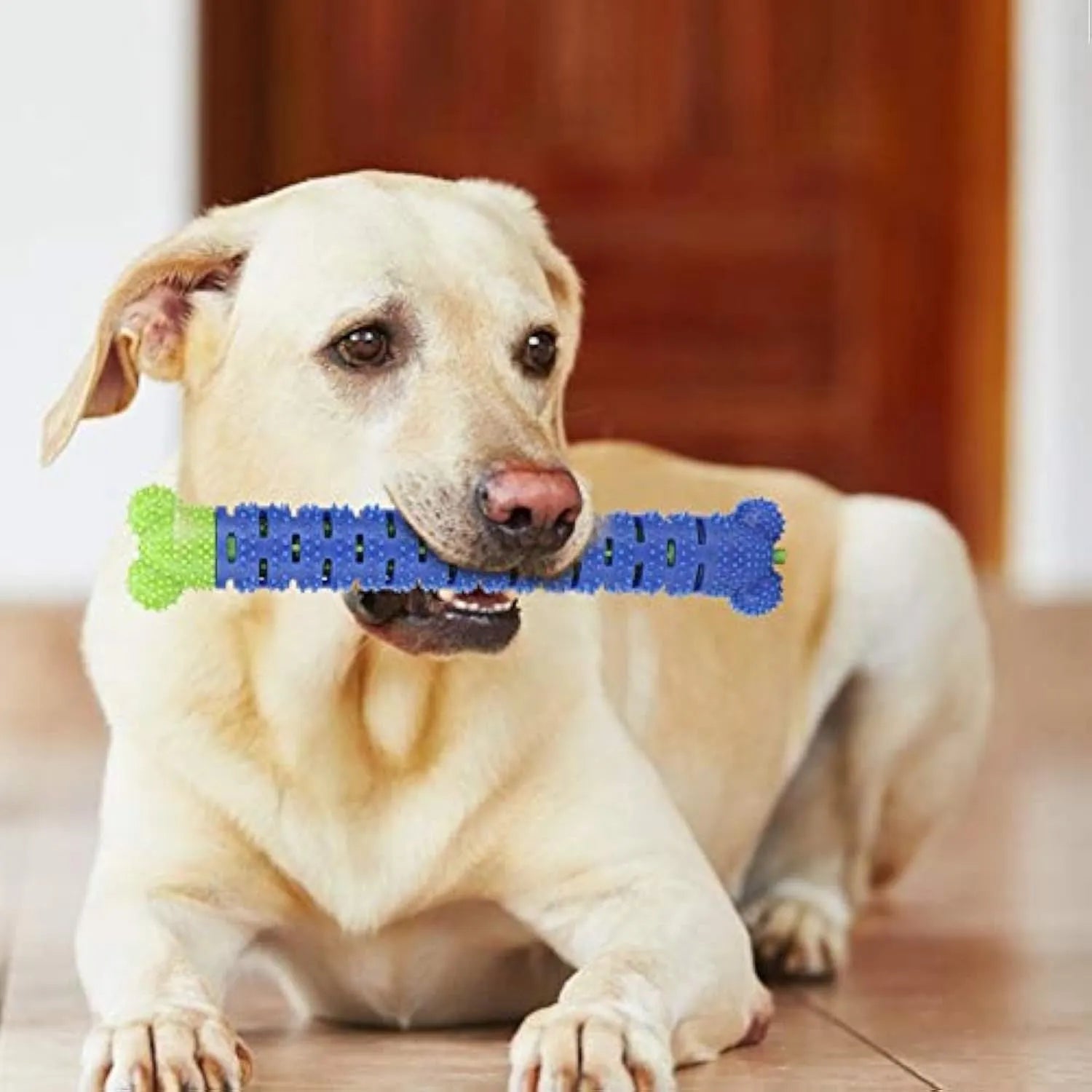 Blue green 25cm dog dental cleaning toy with silicone brush head and textured chewing surface