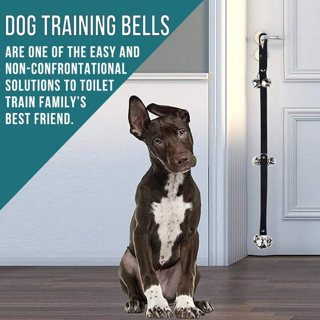 Silver metal dog training bells on an adjustable nylon leash hanging from a door handle