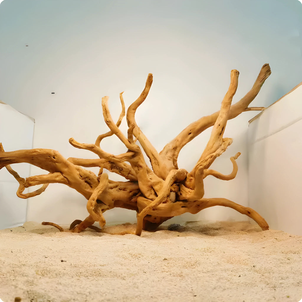 Natural wood Xiaoqi root aquarium decoration ornament for fish tanks in small sizes