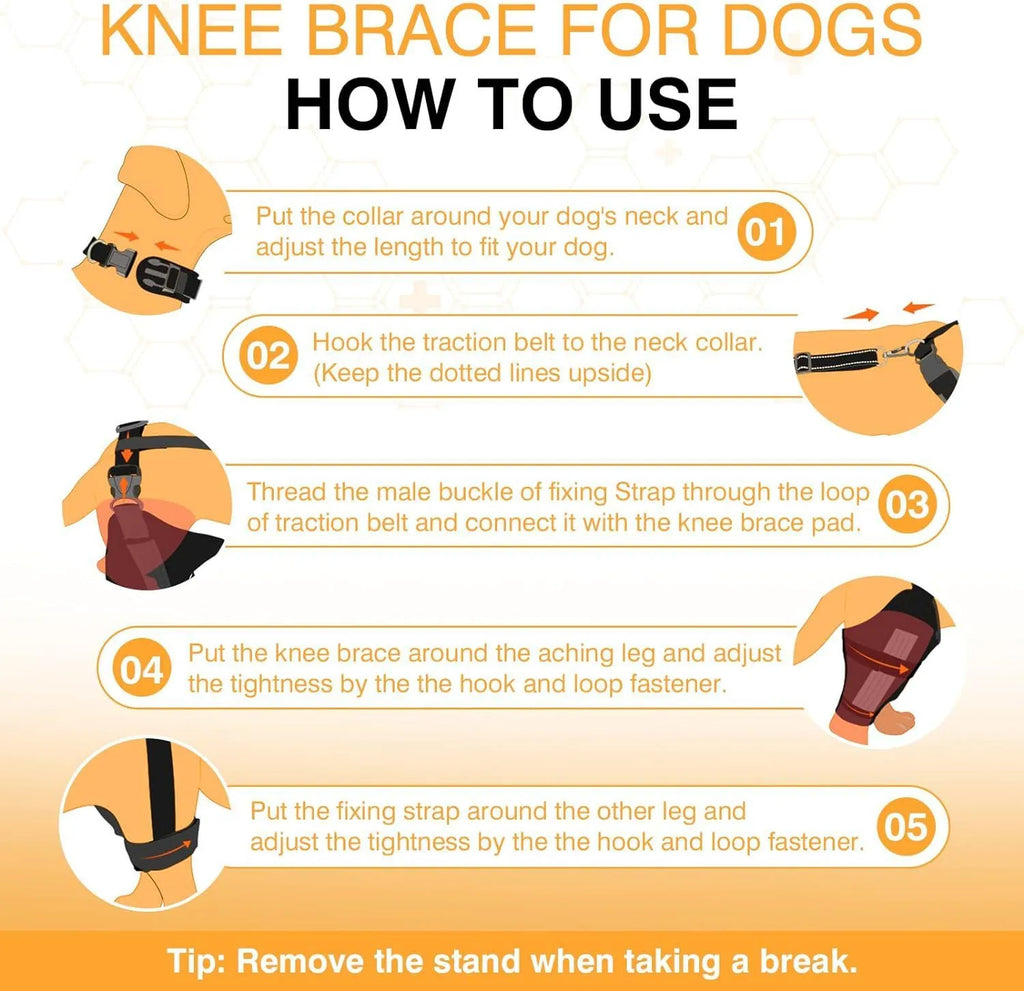 Adjustable dog leg protector knee brace with non-slip inner layer in size S M L for joint support