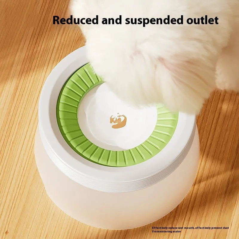 Green elevated pet water bowl with suspension stand next to a drinking cat