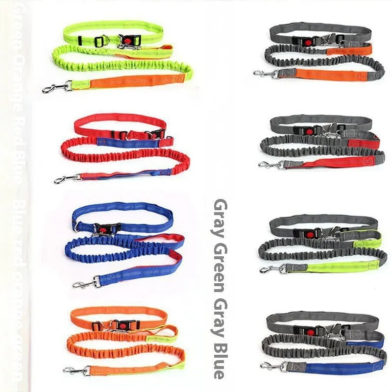 Gray and green reflective elastic dog leash with nylon webbing and a clip, laid flat to show its 2.5cm width.