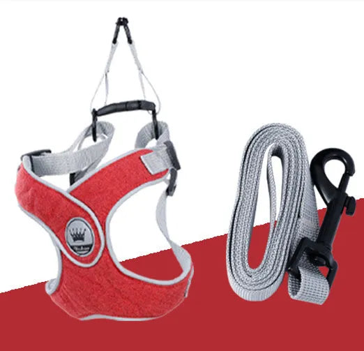 Adjustable dog and cat harness with breathable mesh panels and metal ring attachment
