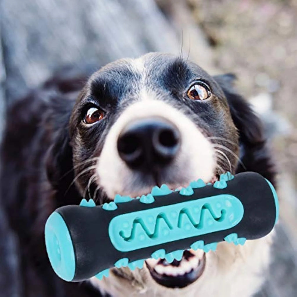 Natural rubber dog dental chew toy in blue colour, showing stick shape for teeth cleaning.