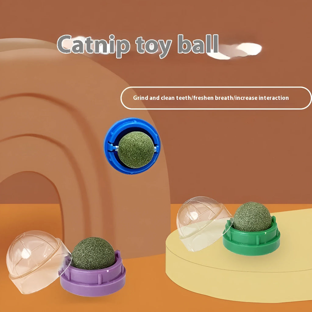 Plastic catnip ball cat toy for teeth cleaning in assorted colours including pink, blue, green.