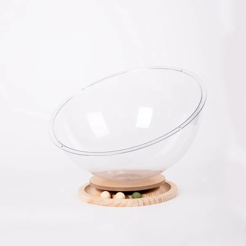 Transparent acrylic cat space capsule bathtub showing capsule design