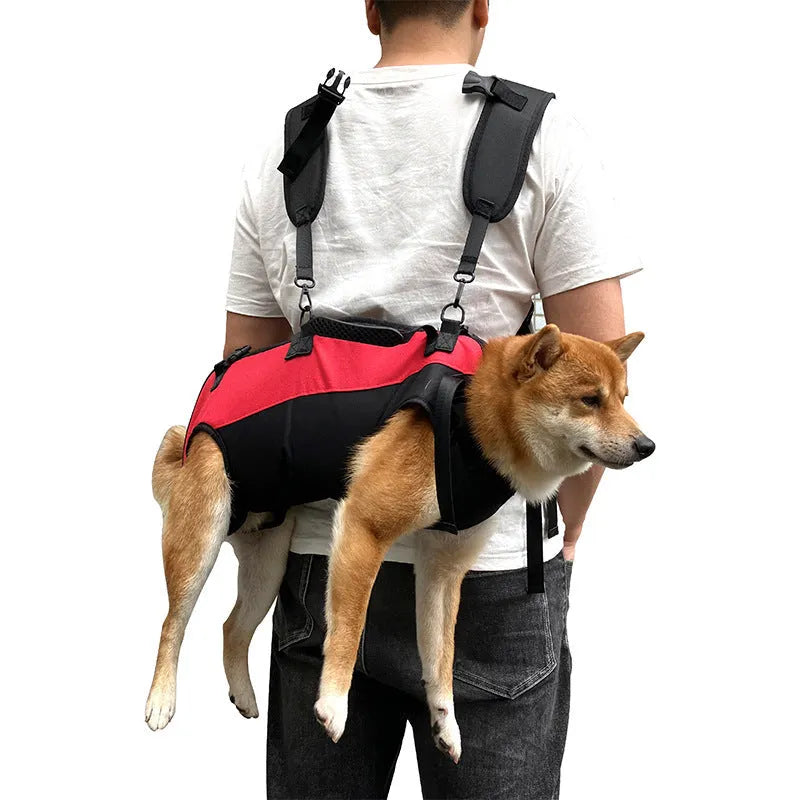 Oxford cloth pet backpack in black and blue colour with adjustable straps for dog carrying