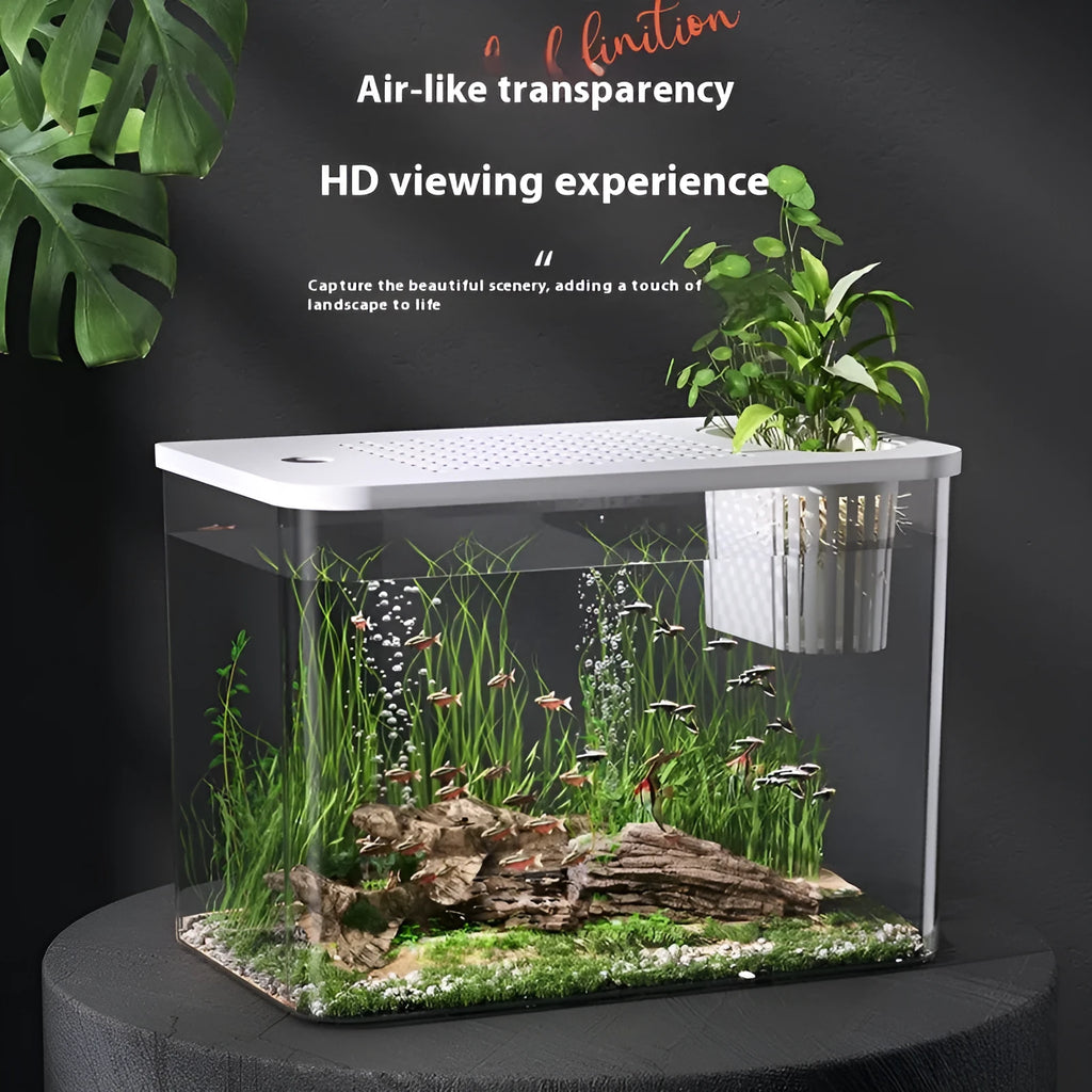 Black ecological betta fish tank with cover measuring 32cm long by 18.5cm wide