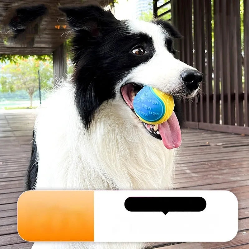 TPR rubber dog ball with molar texture, 6.5cm diameter, showing colour options including luminous variant