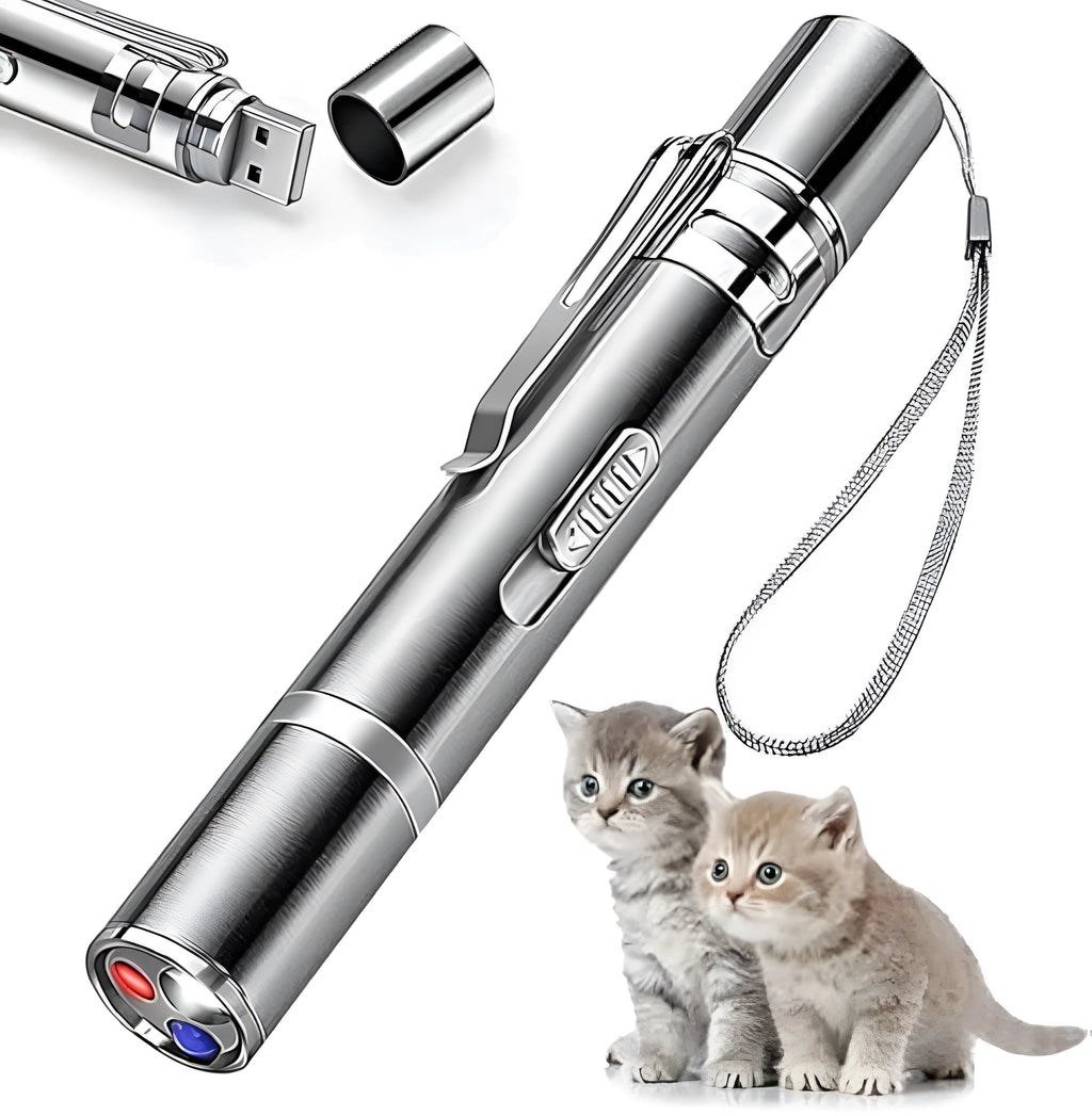 Silver aluminium alloy cat laser toy pointer with USB charging port