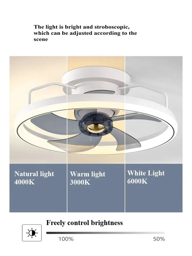 500mm diameter ceiling fan lamp with integrated light fitting in modern design with polycarbonate blades