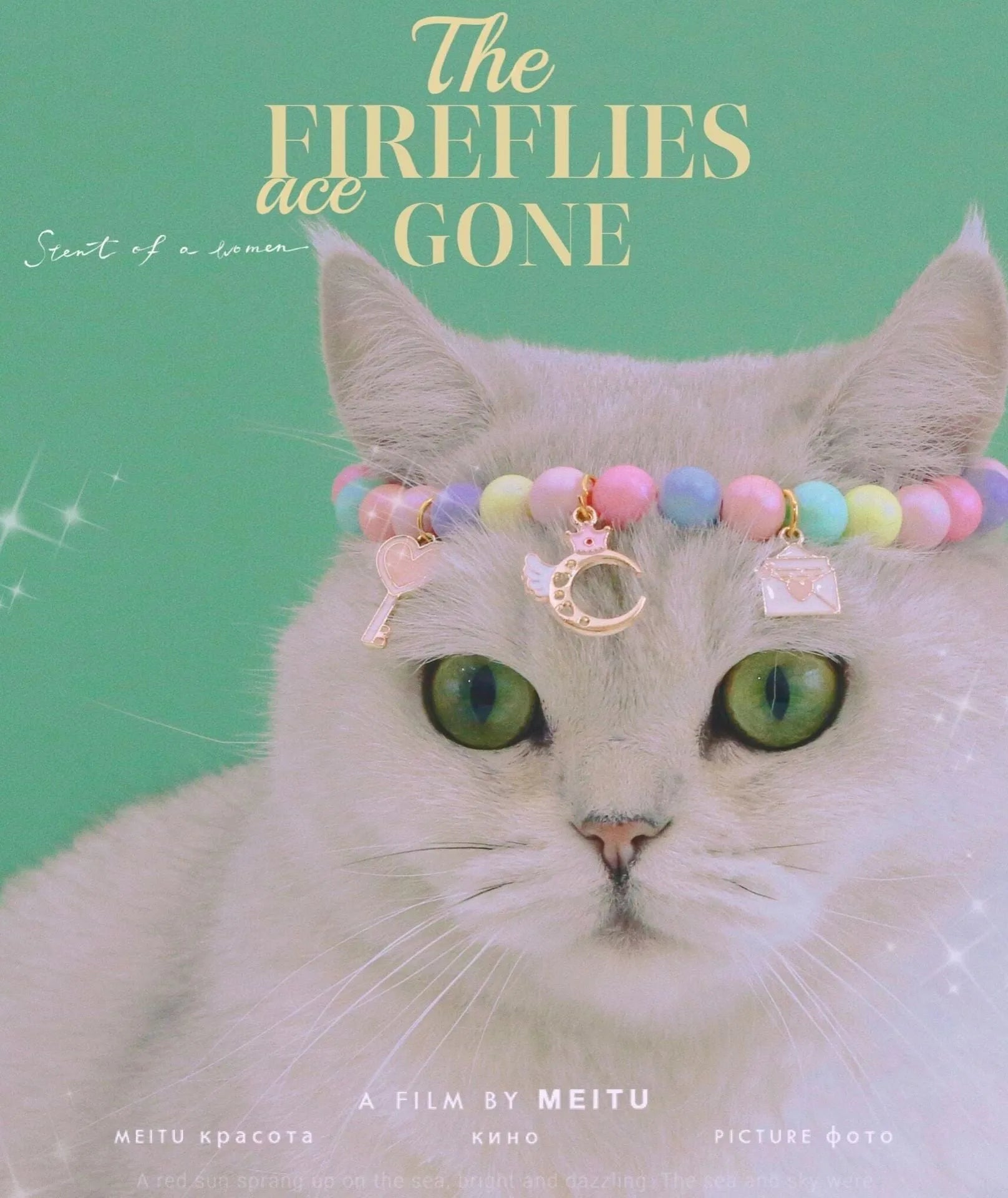 Macaron-themed pet collar accessories in resin with adjustable sizing options