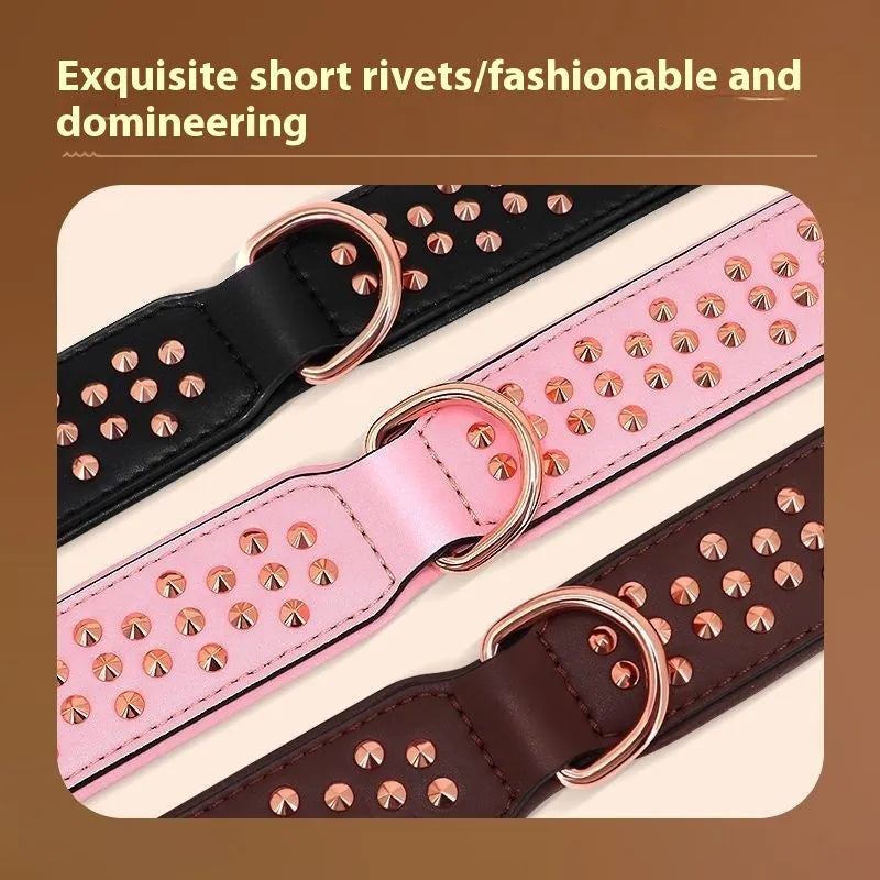 Brown leather dog collar with metal rivet studs, shown on a black background.