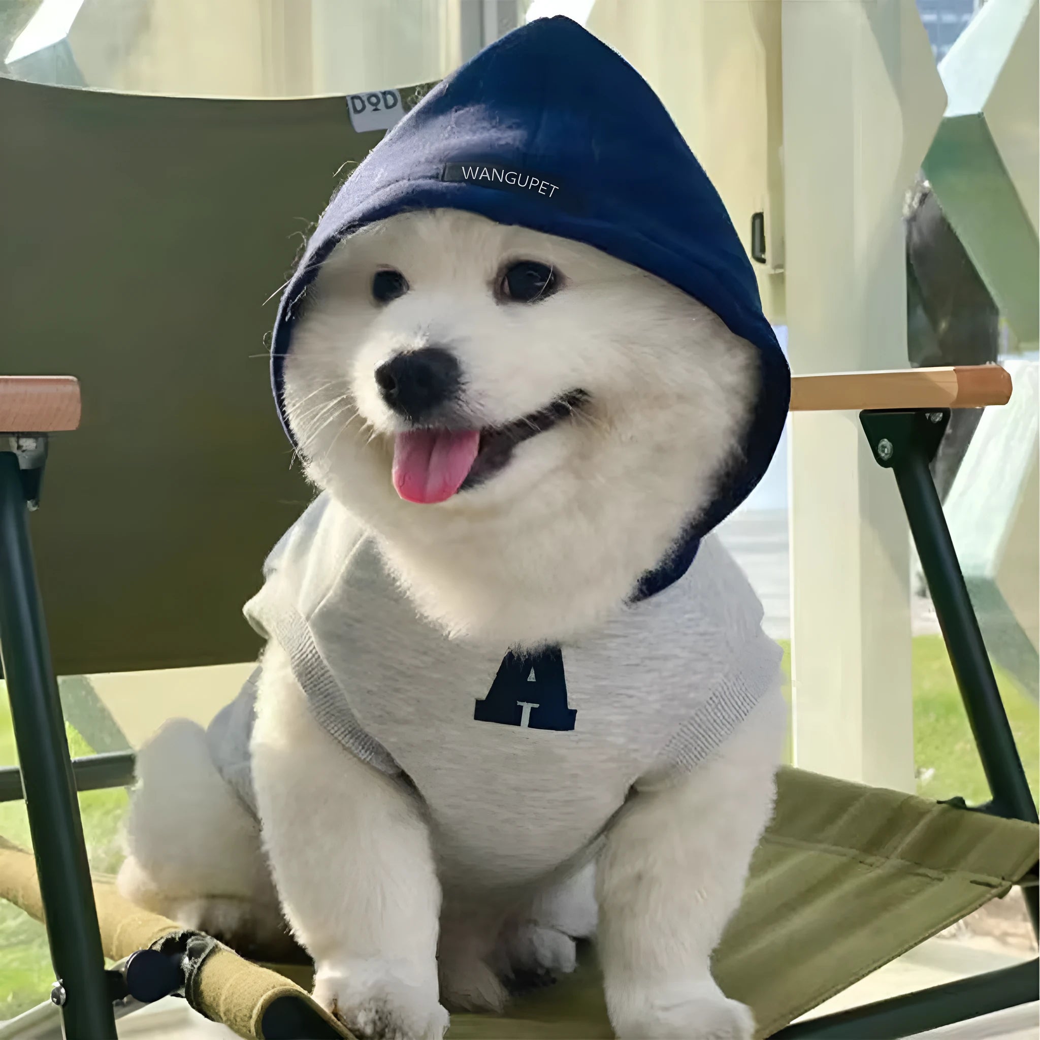 Blue pet hoodie with reflective letters on a dog showing slim-fitting design